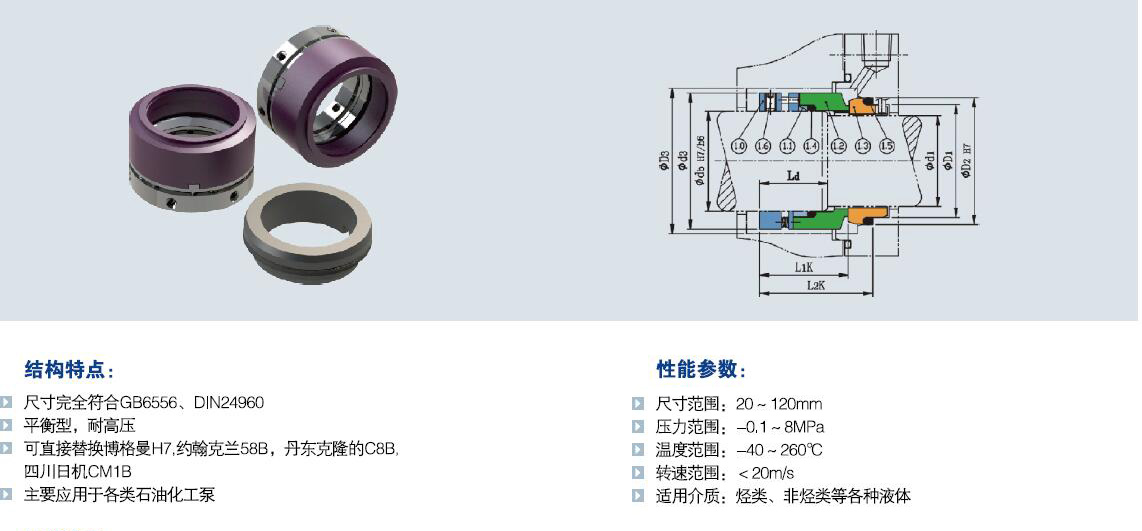 t21多彈簧機械密封.jpg
